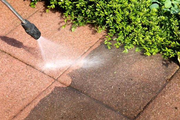 Best House Pressure Washing  in Lewisville, TX